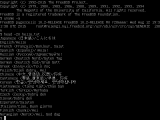 unifont (multilingual font) on FreeBSD vt console